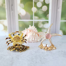 Load image into Gallery viewer, Diva Starfish