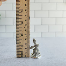 Load image into Gallery viewer, Beautiful Bunny