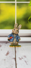 Load image into Gallery viewer, Peter Rabbit