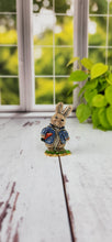 Load image into Gallery viewer, Peter Rabbit