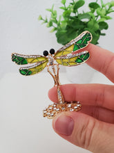 Load image into Gallery viewer, Dapper Dragonfly