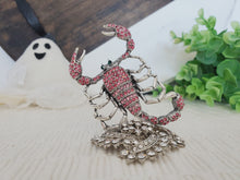 Load image into Gallery viewer, Extraordinary Scorpion
