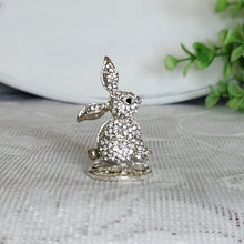 Load image into Gallery viewer, Beautiful Bunny