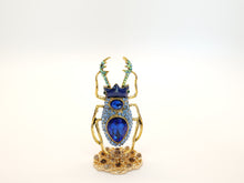 Load image into Gallery viewer, Big Beetle