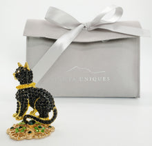 Load image into Gallery viewer, Cool Cat