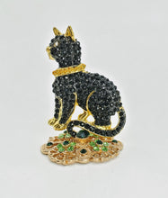 Load image into Gallery viewer, Cool Cat