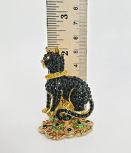 Load image into Gallery viewer, Cool Cat