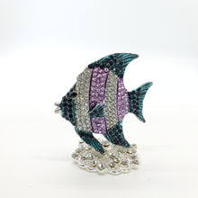 Load image into Gallery viewer, Fancy Fish