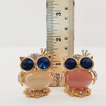 Load image into Gallery viewer, Adorable Owl