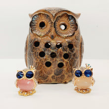 Load image into Gallery viewer, Adorable Owl