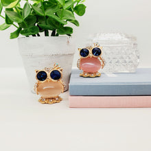 Load image into Gallery viewer, Adorable Owl