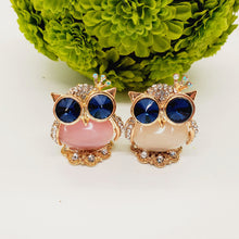 Load image into Gallery viewer, Adorable Owl