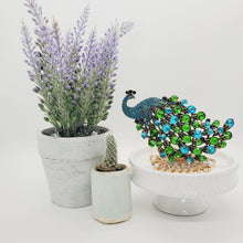 Load image into Gallery viewer, Prestigious Peacock