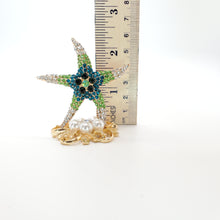 Load image into Gallery viewer, Super Starfish