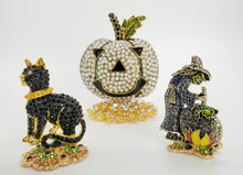 Load image into Gallery viewer, Cool Cat