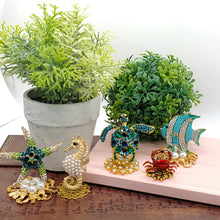 Load image into Gallery viewer, Super Starfish