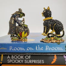 Load image into Gallery viewer, Cool Cat