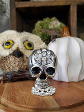 Load image into Gallery viewer, Shiny Skull