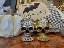 Load image into Gallery viewer, Shiny Skull