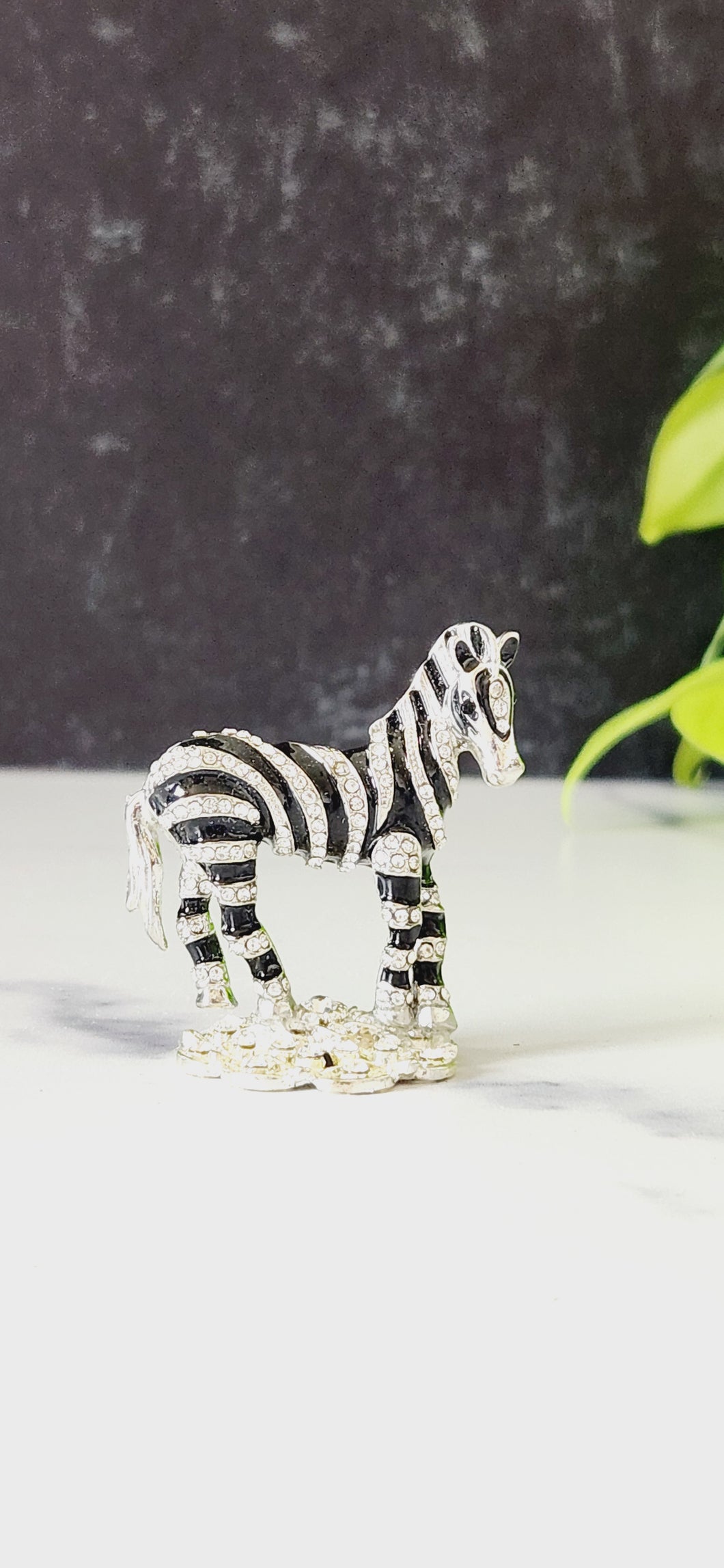 Zen Zebra